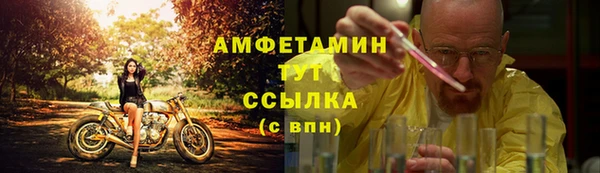 гидра Абаза