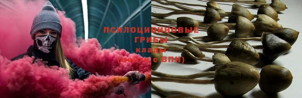 дживик Алексин