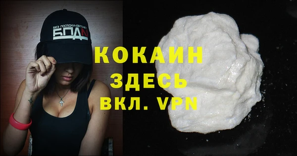дживик Алексин