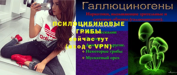 дживик Алексин