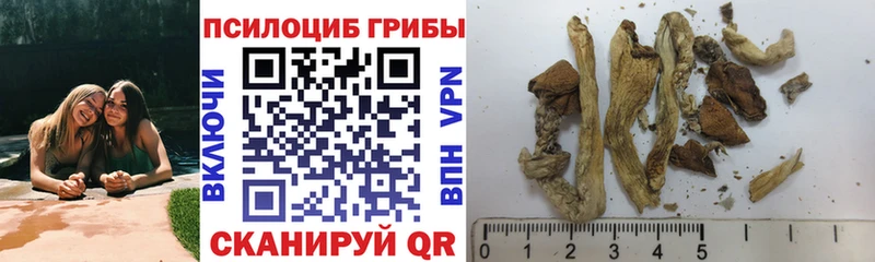 где купить наркотик  Лысьва  Псилоцибиновые грибы GOLDEN TEACHER 